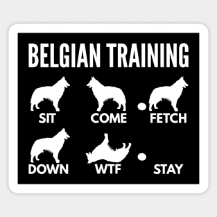 Belgian Training Belgian Tervuren Tricks Sticker